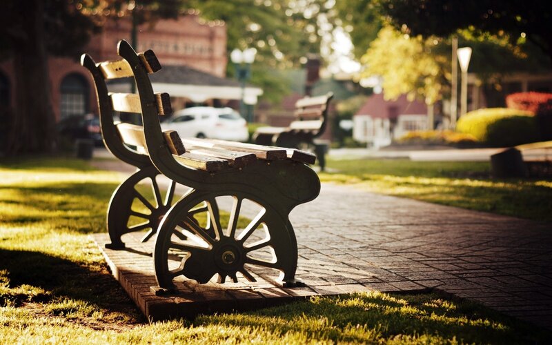 Ornate Bench in Park — Green, Serene, Afternoon