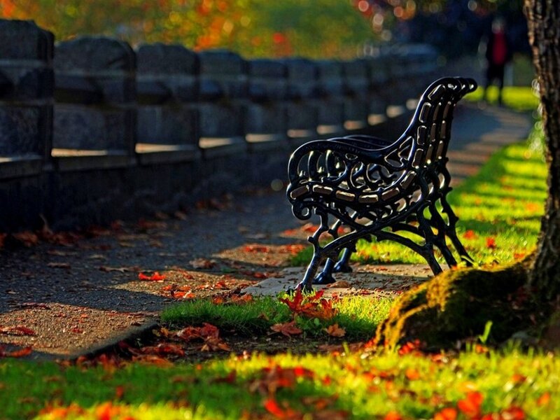 Ornate Bench in Park — Green