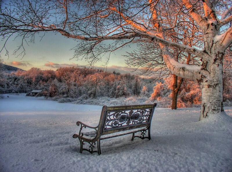 Ornate Bench in Snow