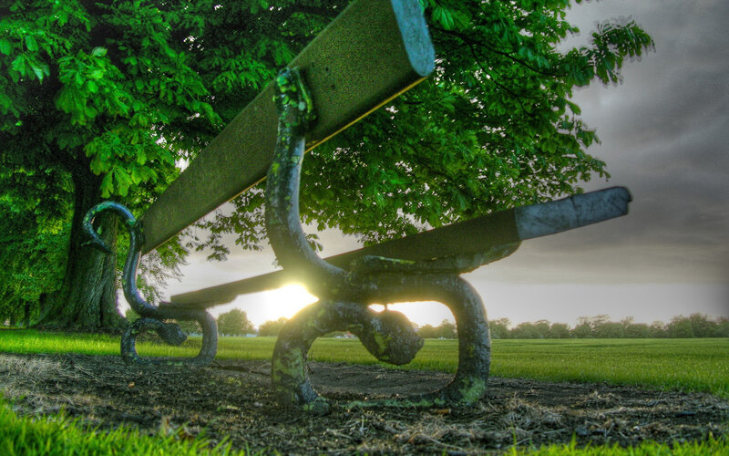 Ornate Bench under Tree — Green, Dramatic, Sunset