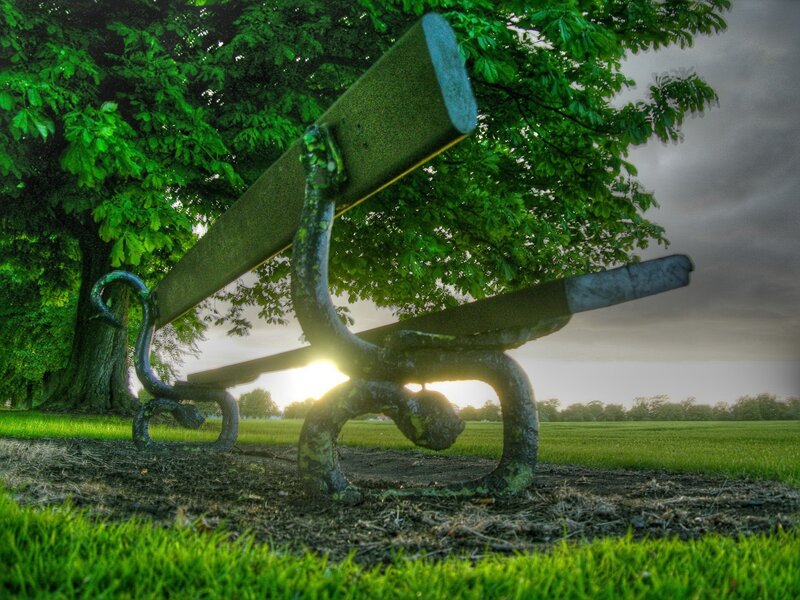 Ornate Bench under Tree