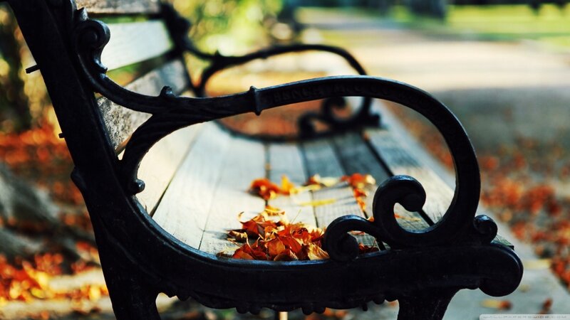 Ornate Bench with Leaves