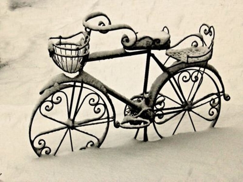 Ornate Bicycle Sculpture