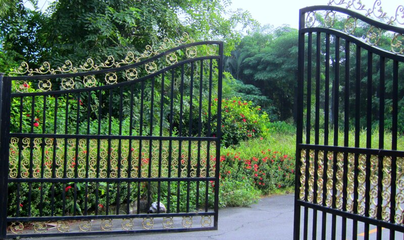 Ornate Black and Gold Gate