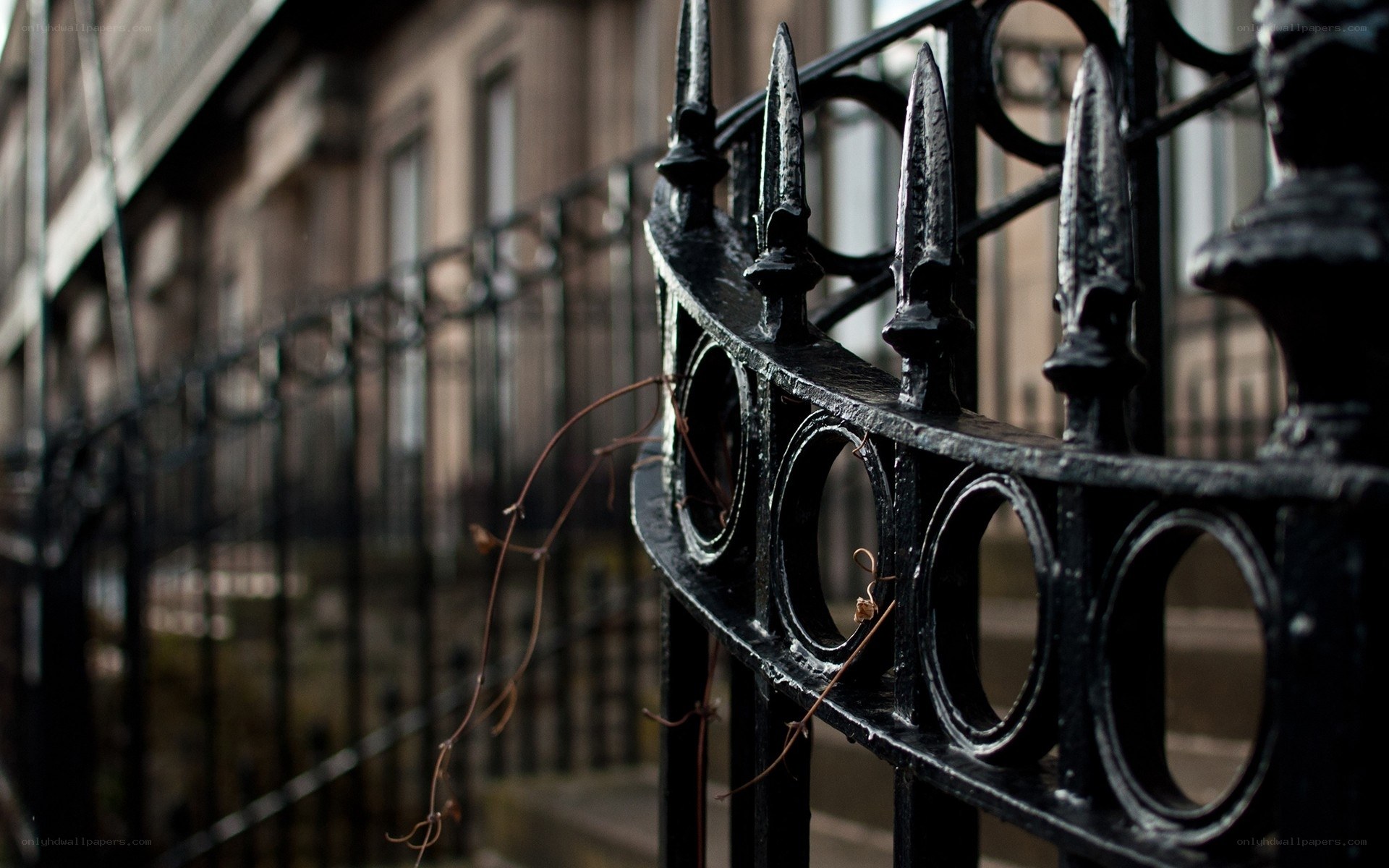 ornate black iron fence