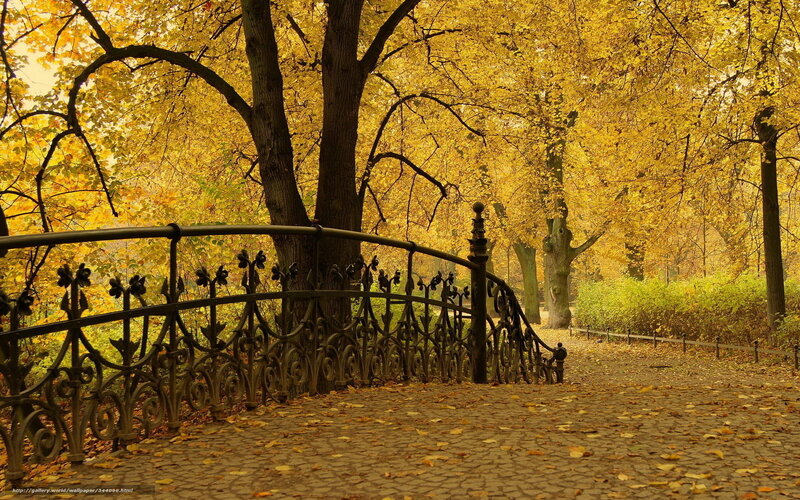 Ornate Bridge in Autumn Park