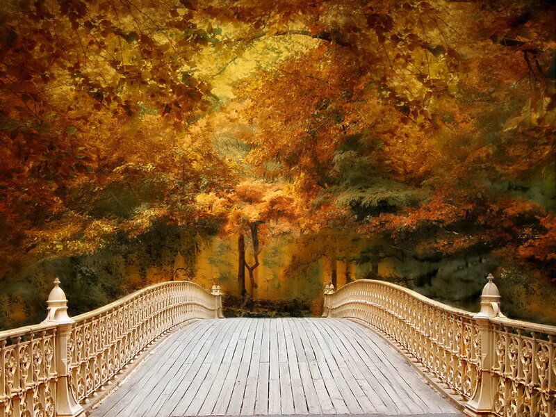 Ornate Bridge in Autumn