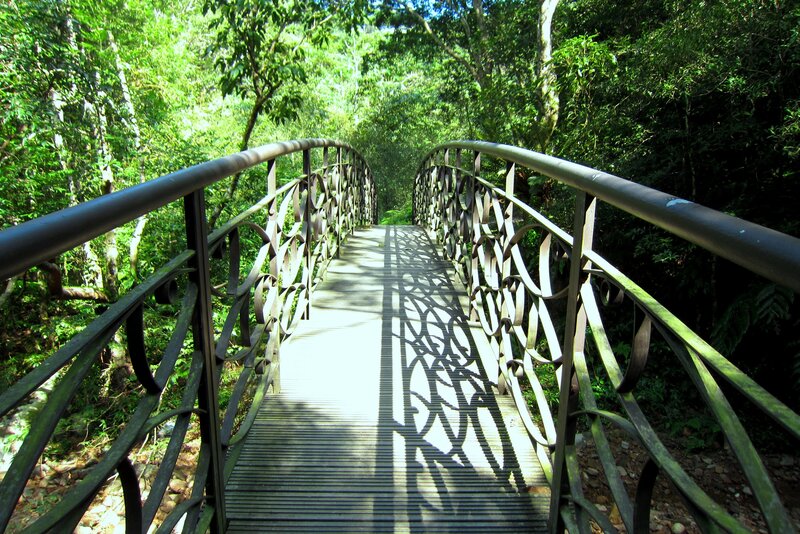 Ornate Bridge in Forest