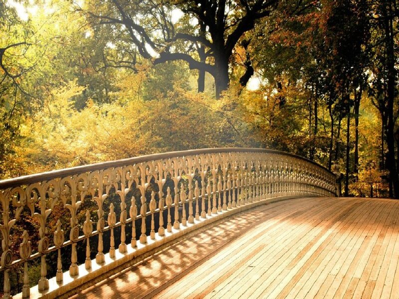 Ornate Bridge in Forest — Yellow