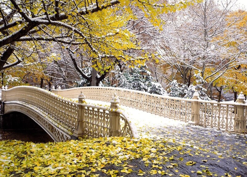 Ornate Bridge in Park