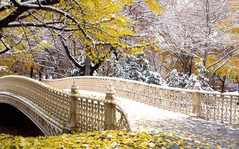 Ornate Bridge in Park — Yellow, Serene