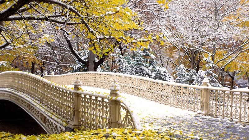 Ornate Bridge in Park — Yellow