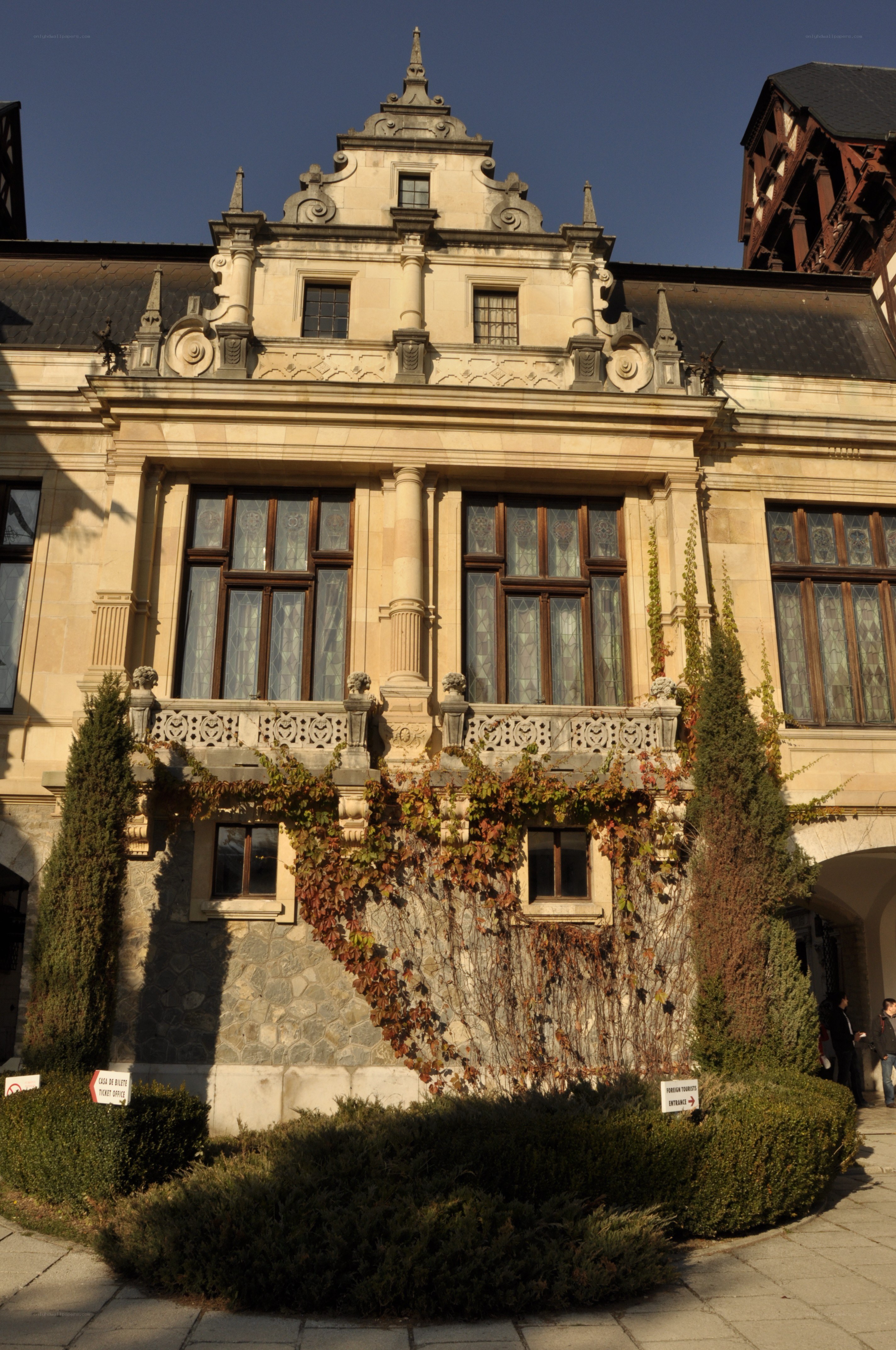 ornate building facade with ivy