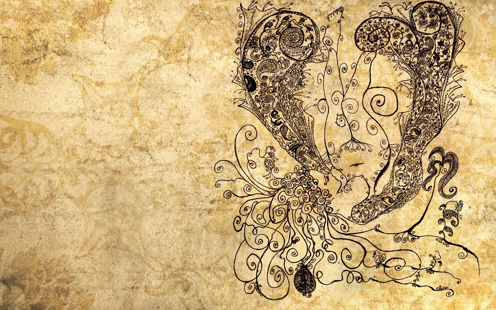ornate butterfly illustration