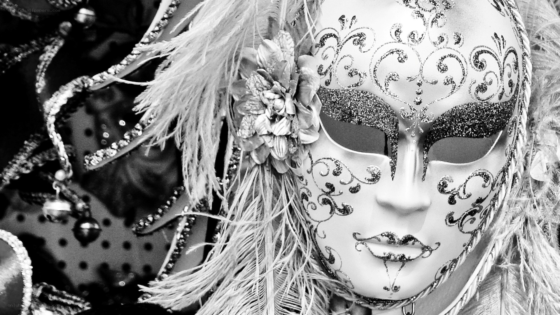 ornate carnival mask with feathers