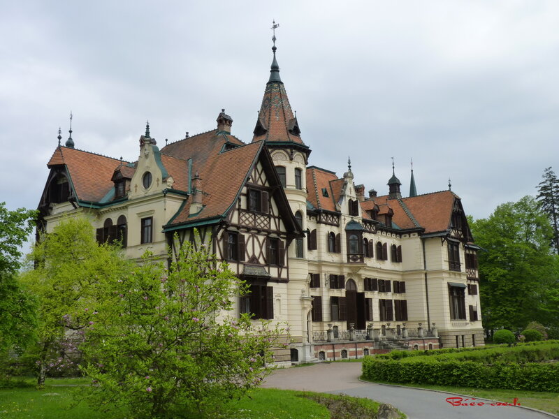 Ornate Castle Building