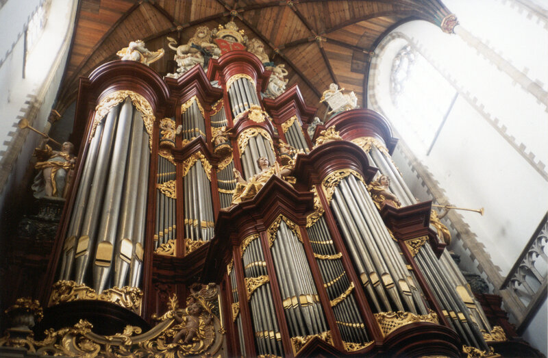 Ornate Church Organ — Brown