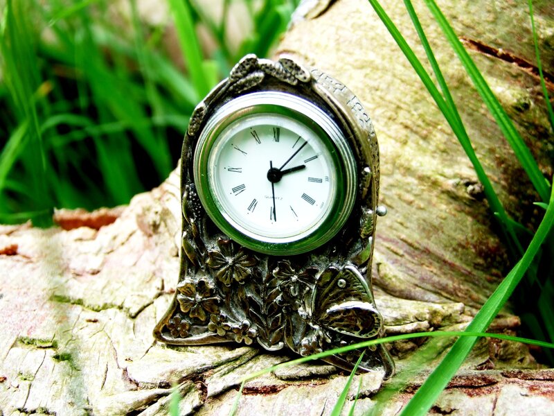 Ornate Clock on Log