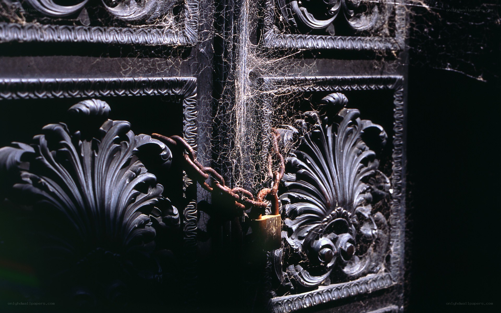 ornate door with padlock