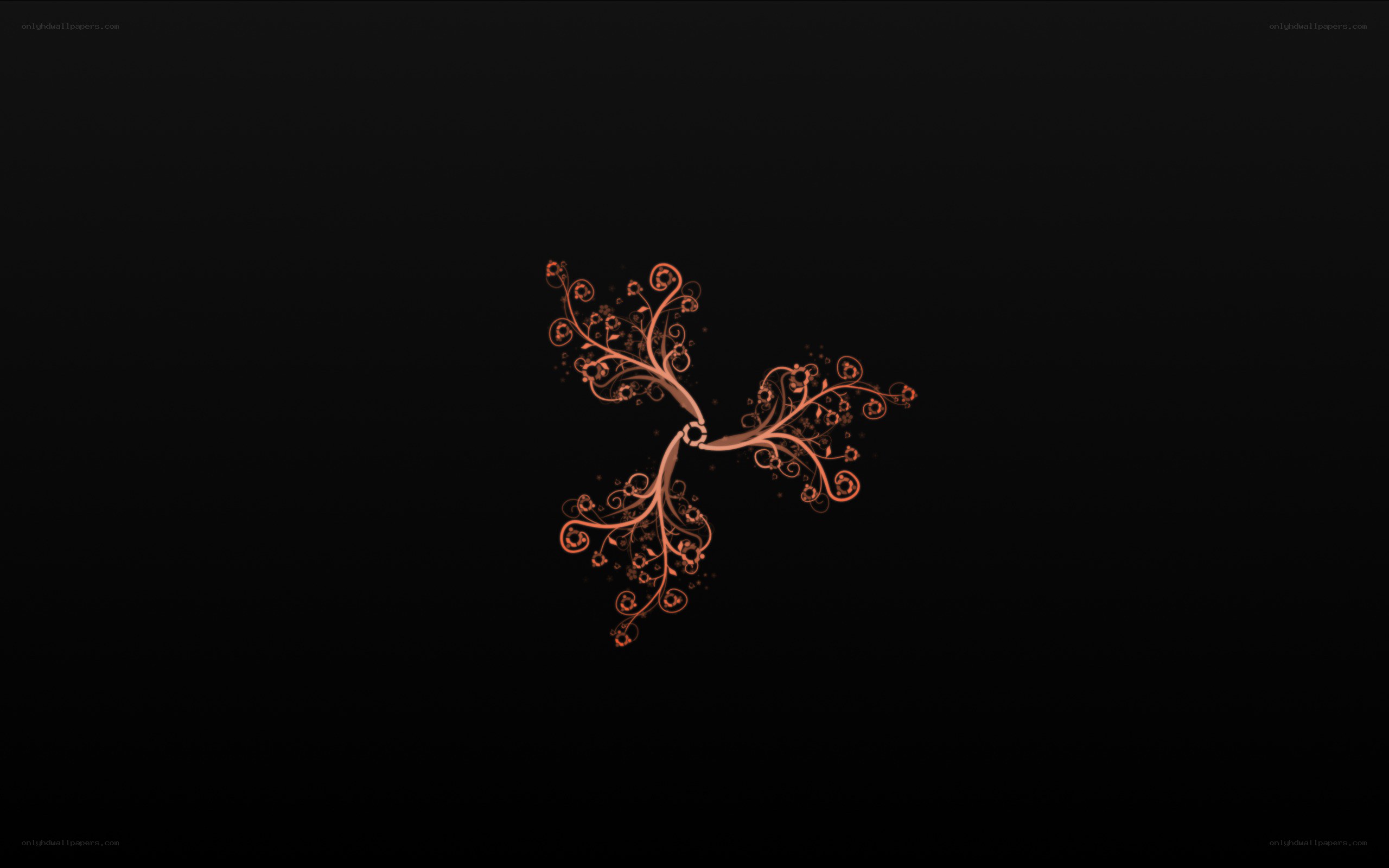 Ornate floral design on black