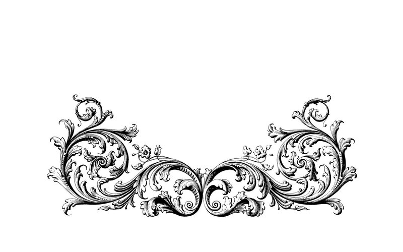 ornate floral scroll design