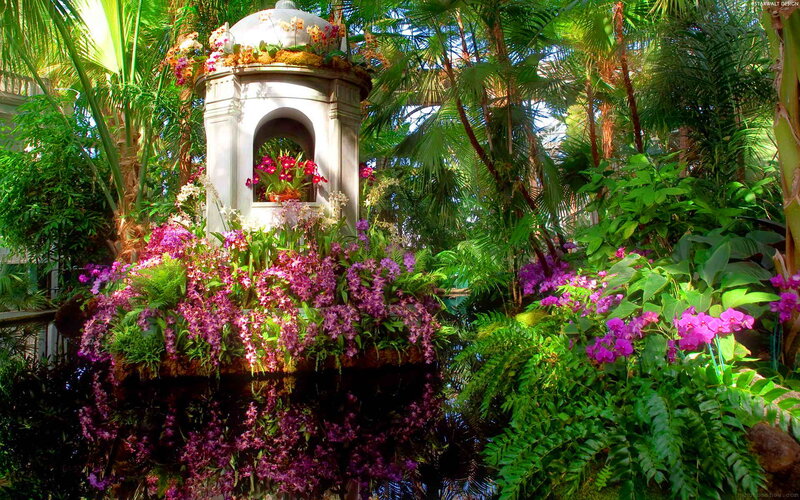 Ornate Fountain with Orchids