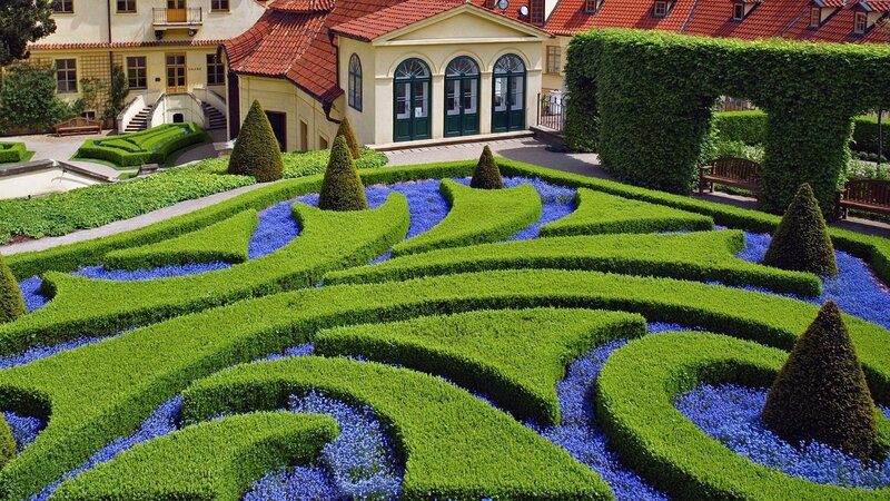 ornate garden with blue flowers