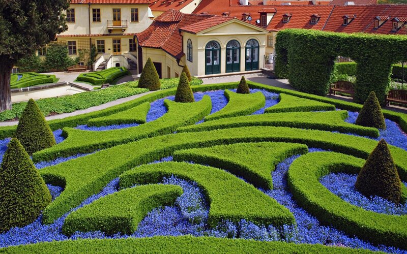ornate garden with blue flowers