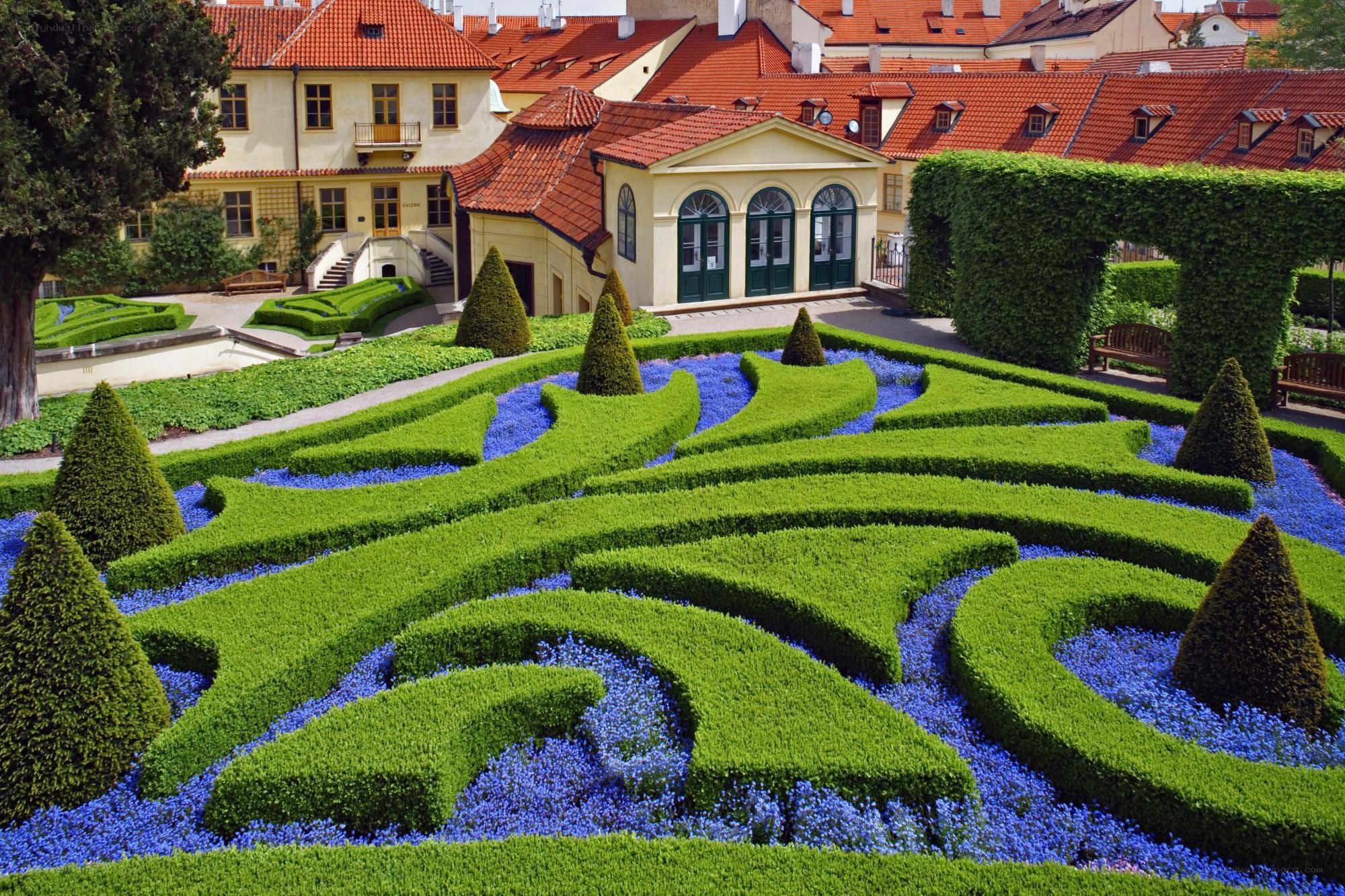 ornate garden with topiary