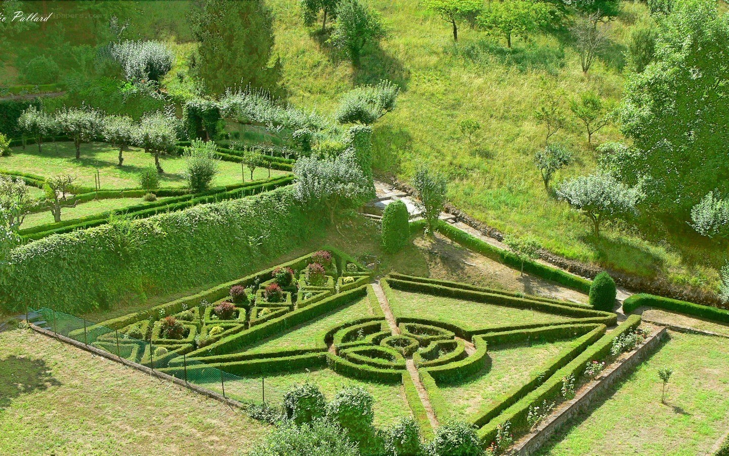 ornate garden with topiary