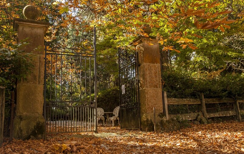 Ornate Gate in Autumn — Brown