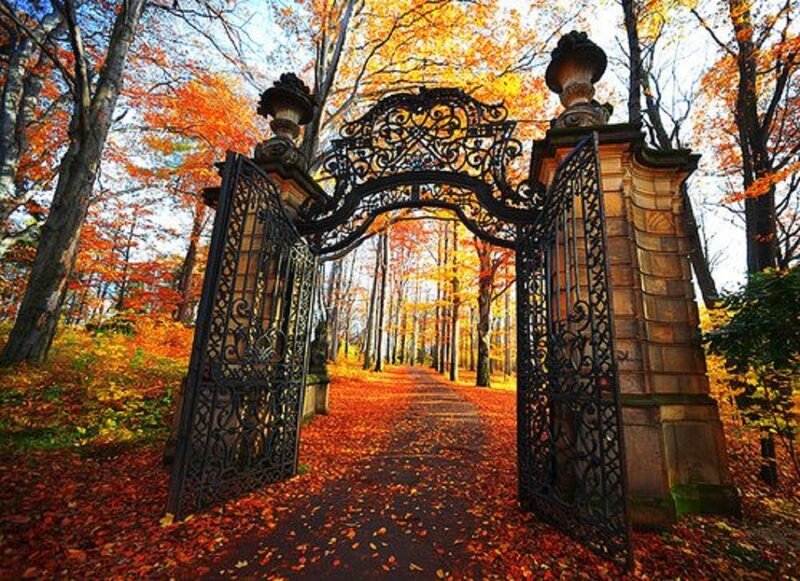 Ornate Gate in Autumn — Orange