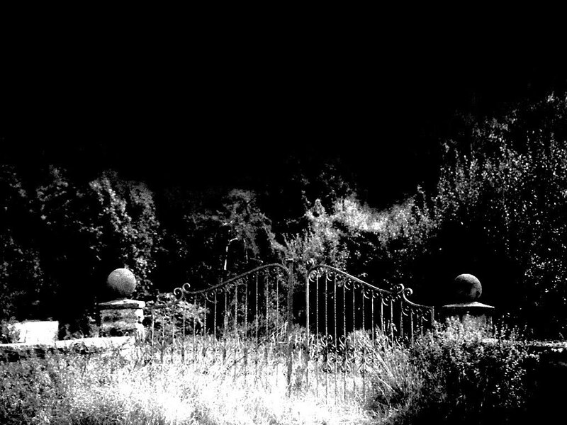 Ornate Gate in Overgrown Garden