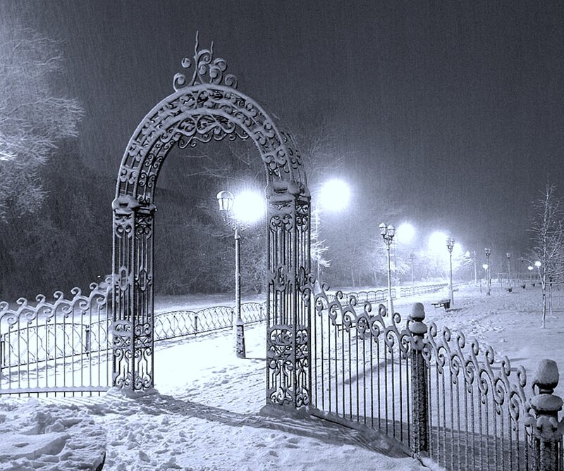 Ornate Gate in Snow — Black