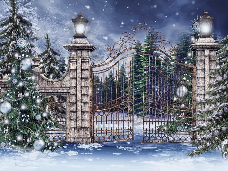 Ornate Gate in Winter