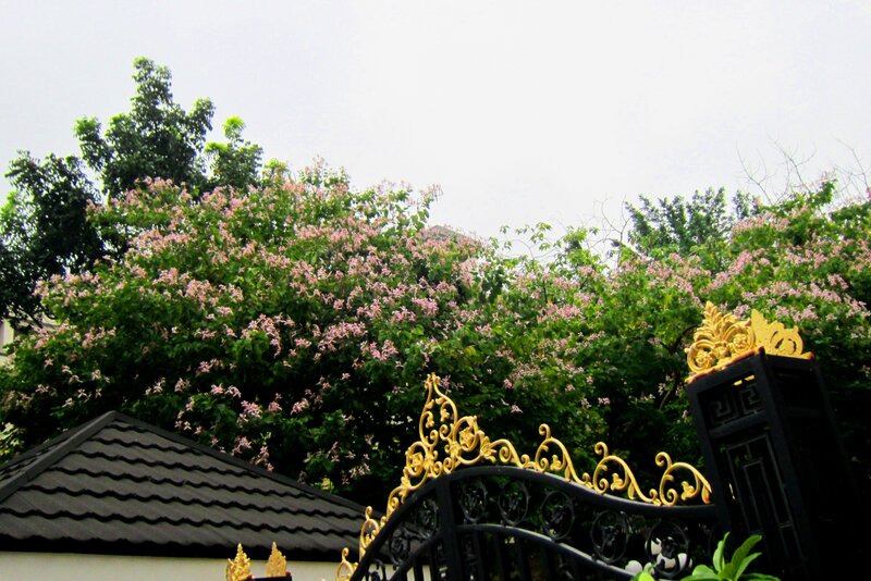 Ornate Gate with Flowers