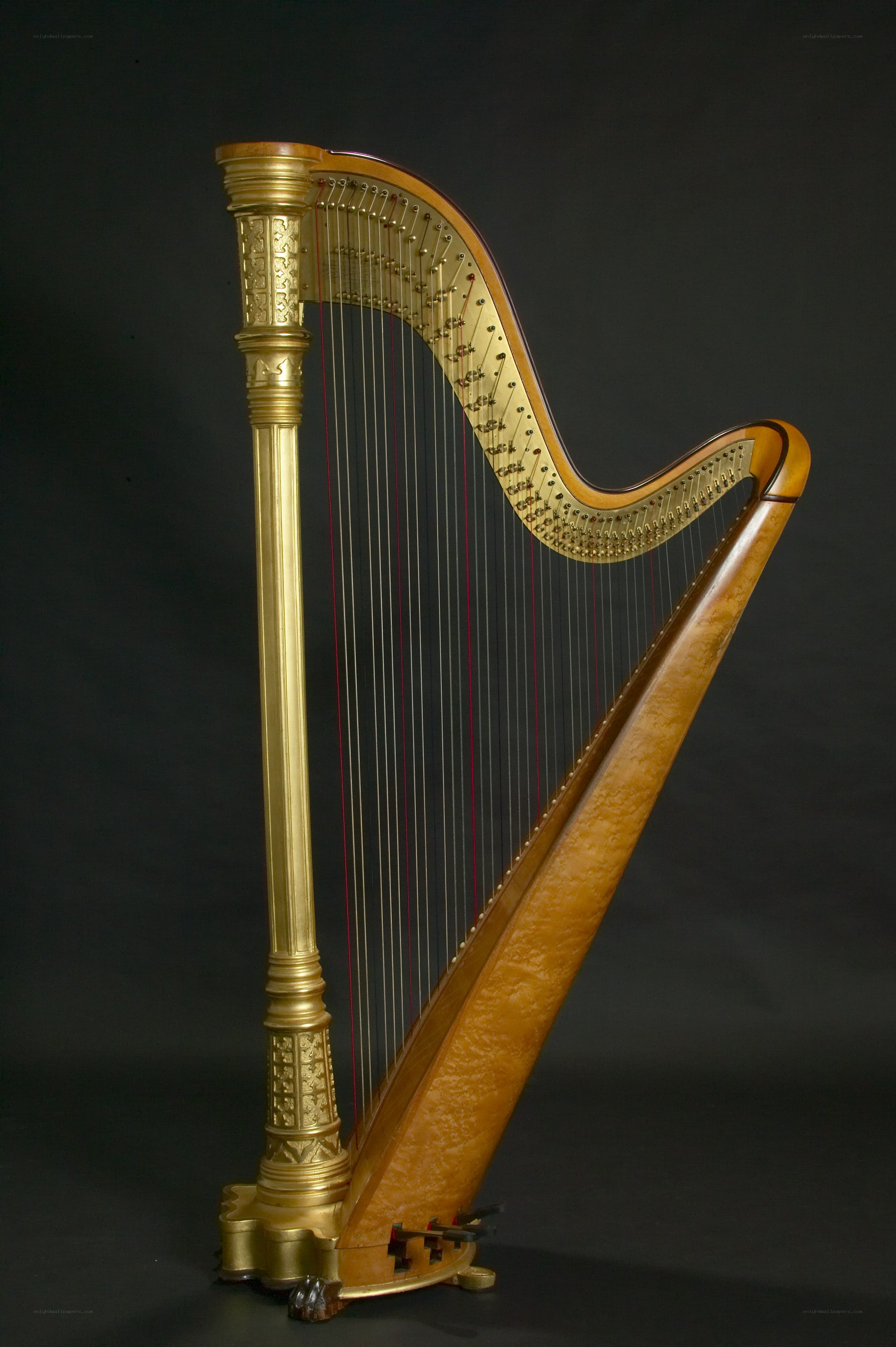 ornate golden harp