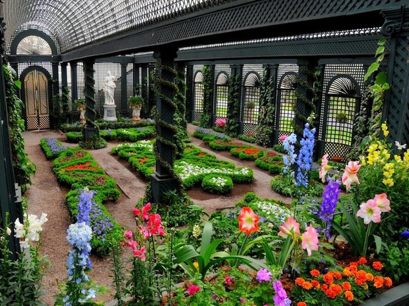 Ornate Greenhouse Garden — Green