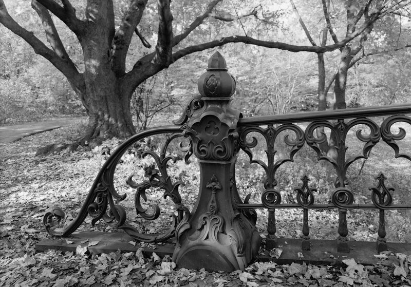 ornate iron fence in park
