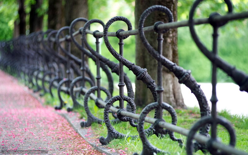ornate iron fence in park