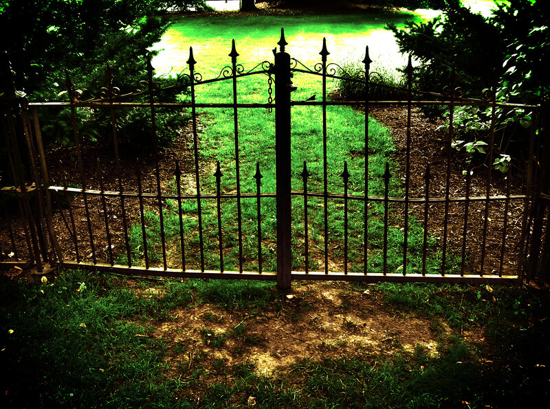 Ornate Iron Gate