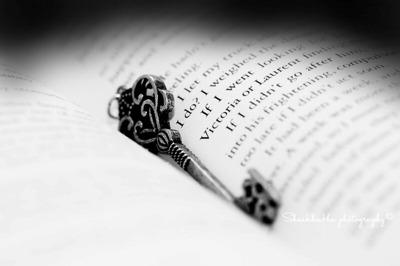 Ornate Key in Book