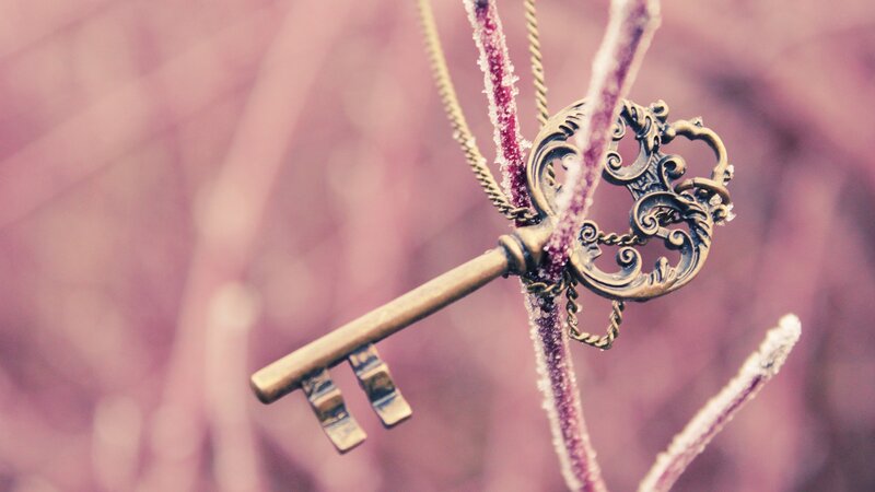 Ornate Key on Branch — Purple, Serene