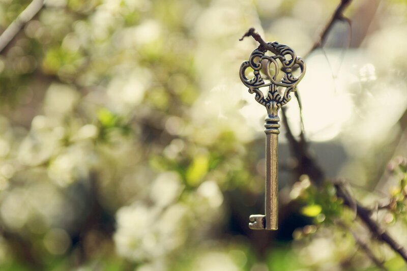 Ornate Key on Branch