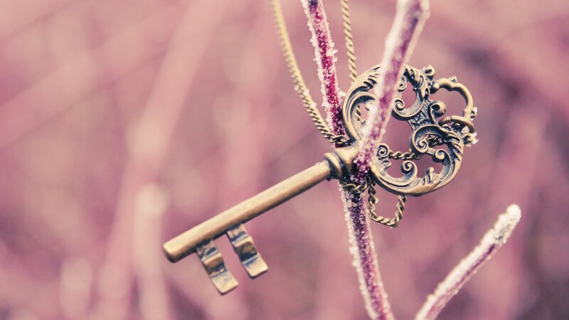 ornate key on frosty branch