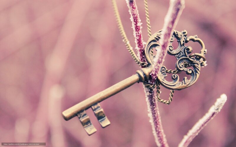ornate key on frosty branch