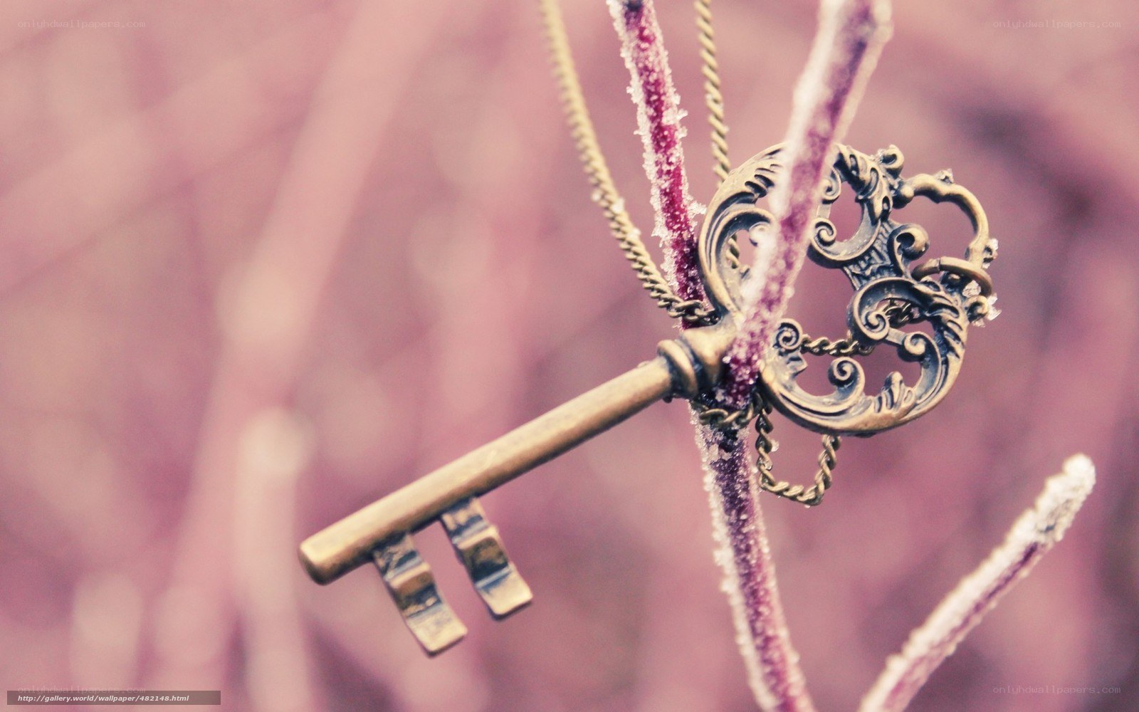 ornate key on frosty branch