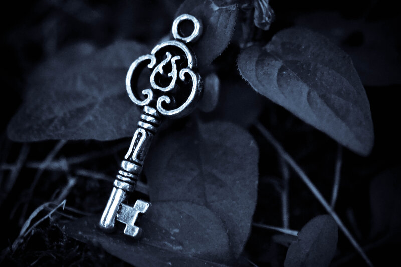Ornate Key on Leaves