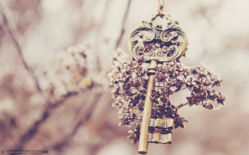 Ornate Key with Frost