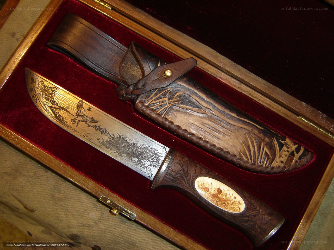 ornate knife in wooden case